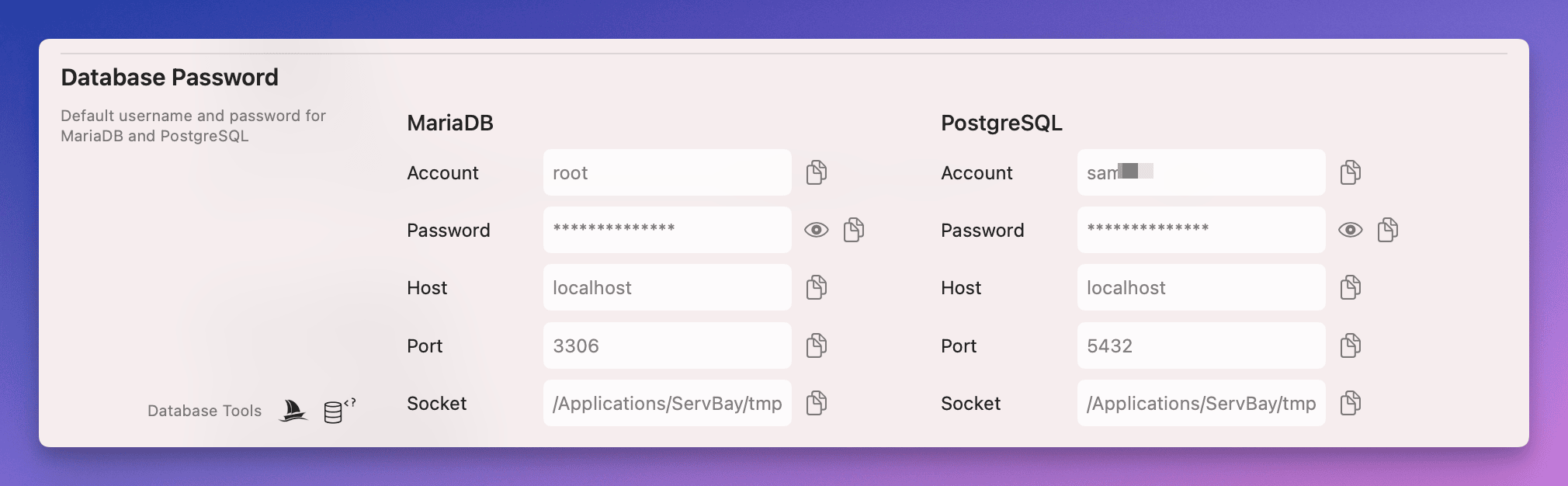 Database Management Accounts and Connection Information