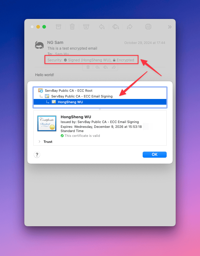 S/MIME Encrypted Email Display