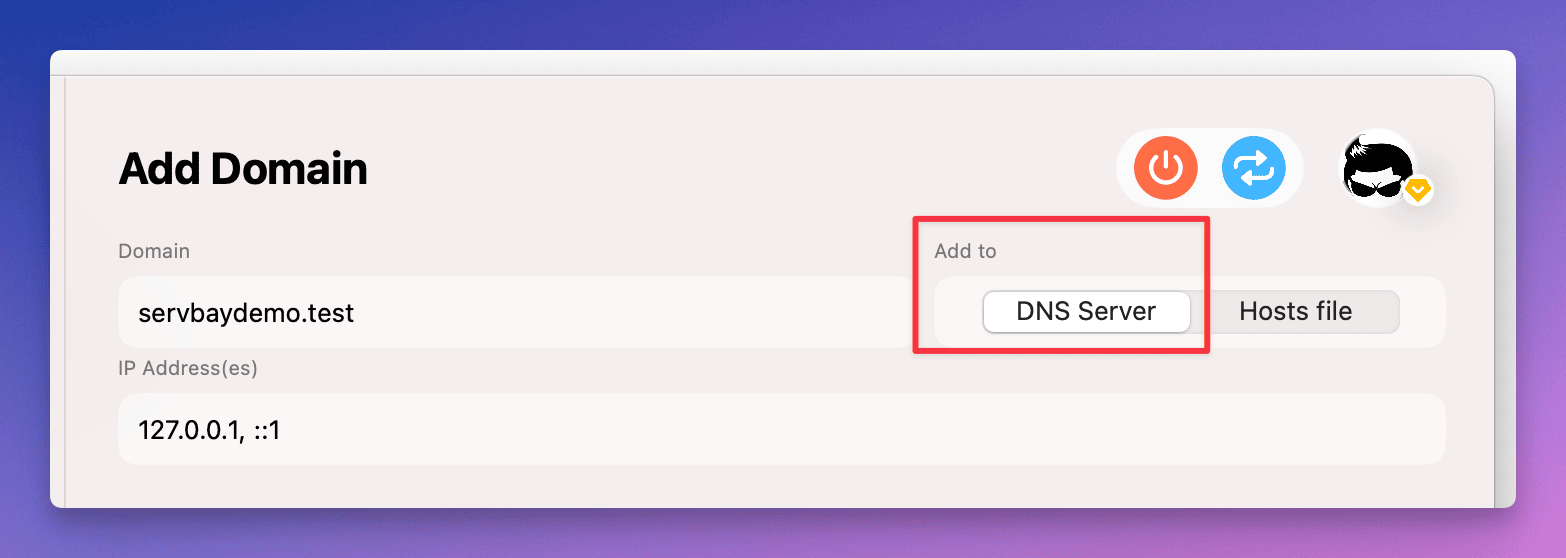 Managing Local DNS Records