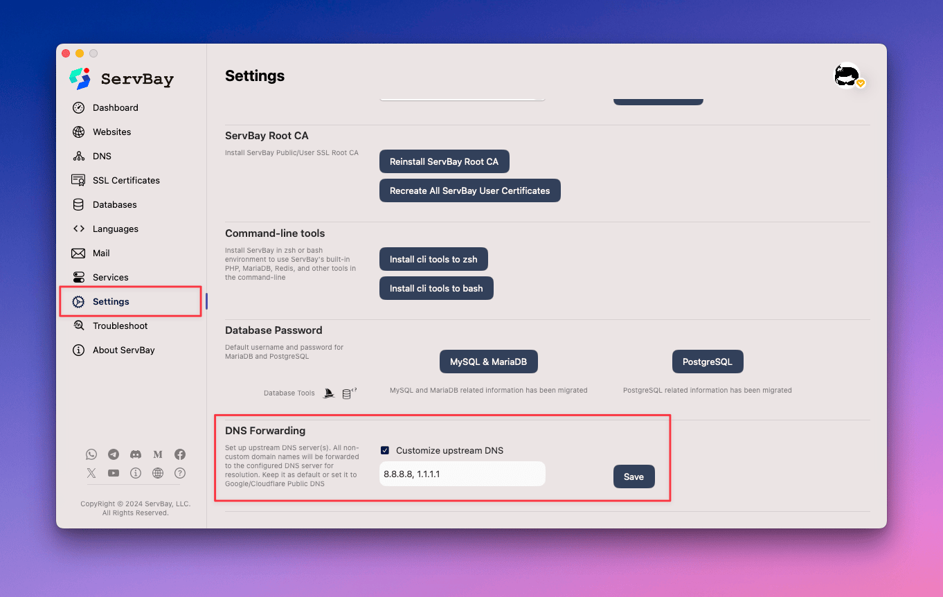 Setting up upstream DNS servers in ServBay