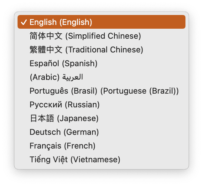 Multilingual Support