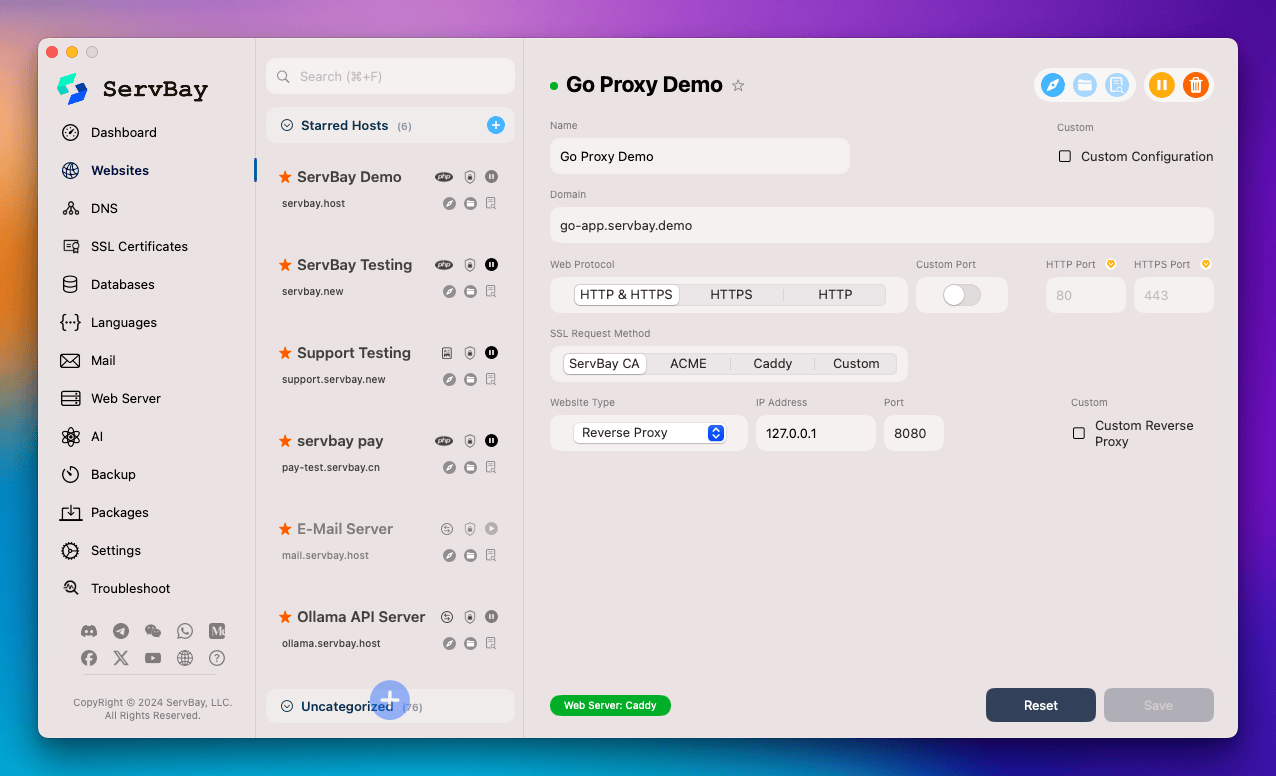 Configure reverse proxy for Go