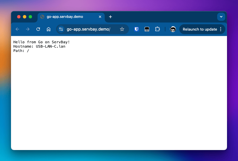 Access local Go project in browser