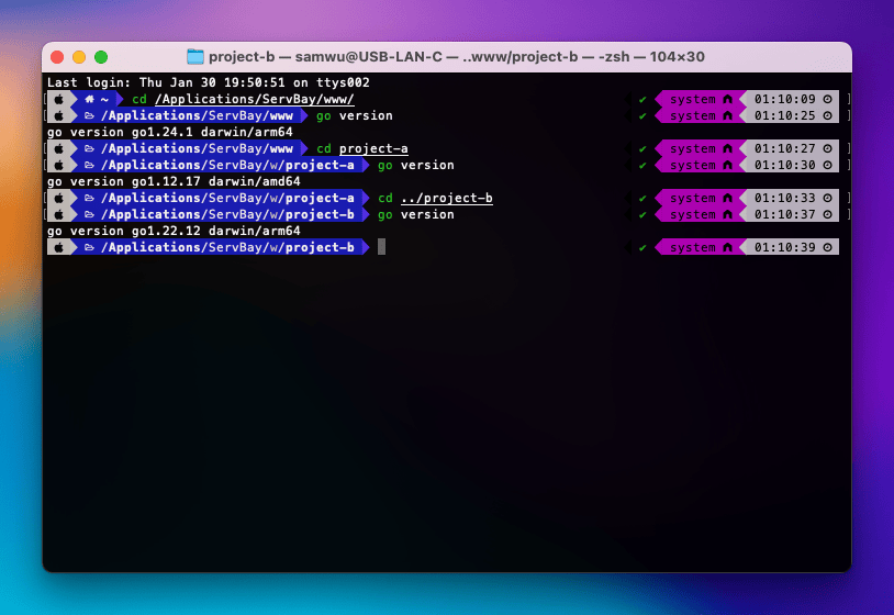 Specify version for different Go projects