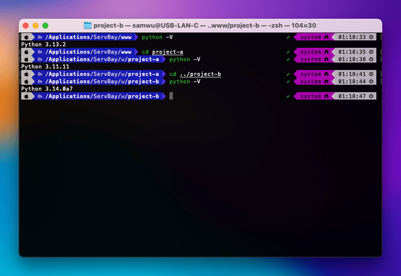 Set Different Python Versions for Different Projects