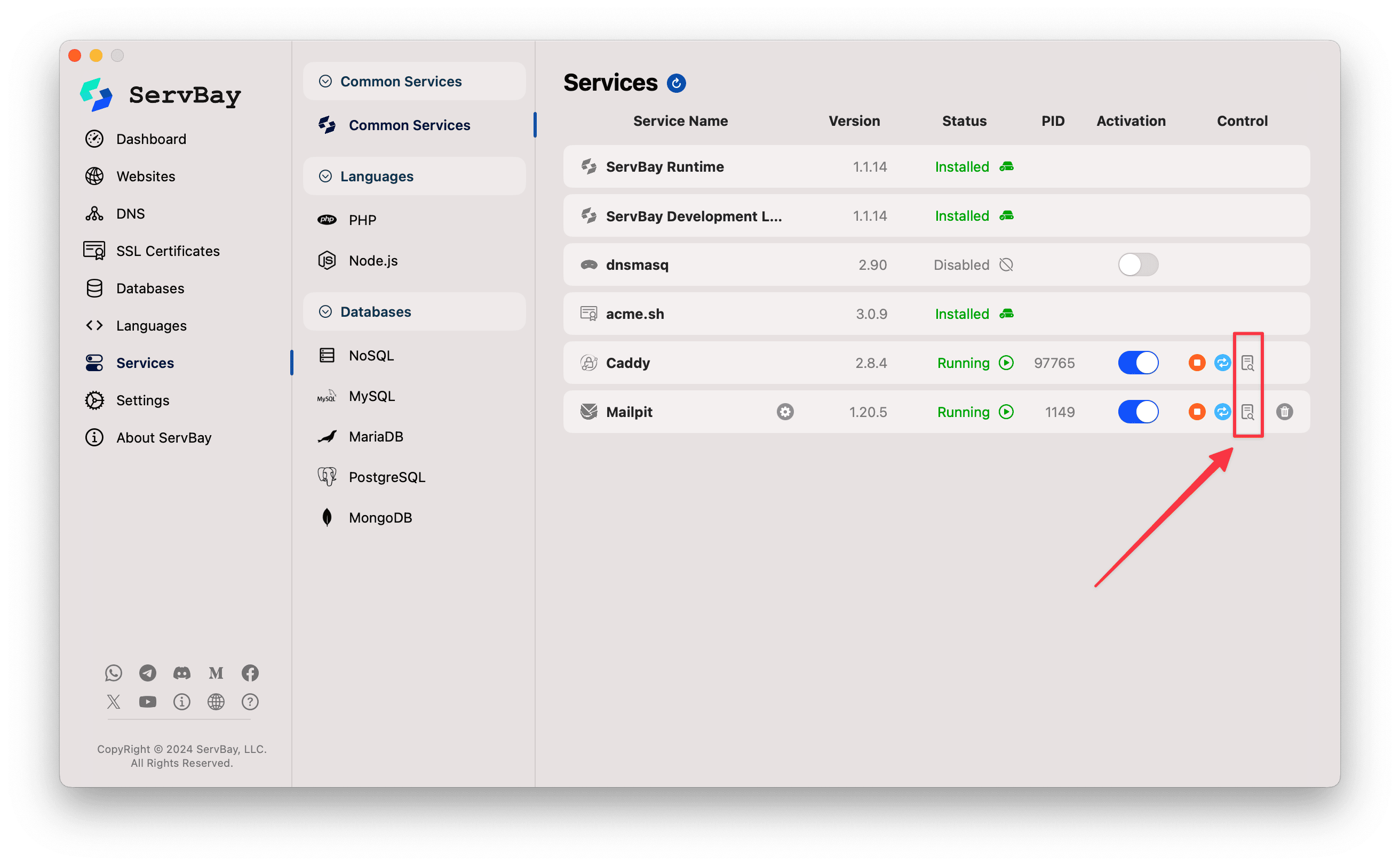 Click the log icon in the ServBay Packages panel
